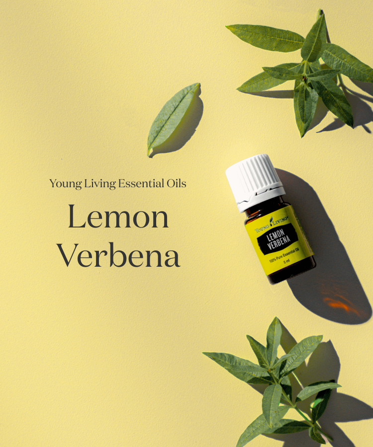 LEMON VERBENA