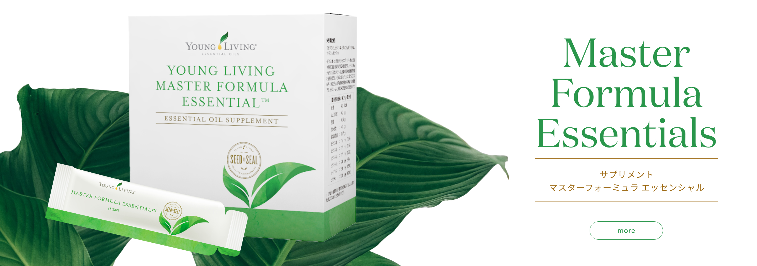 MASTER FORMULA ESSENTIAL