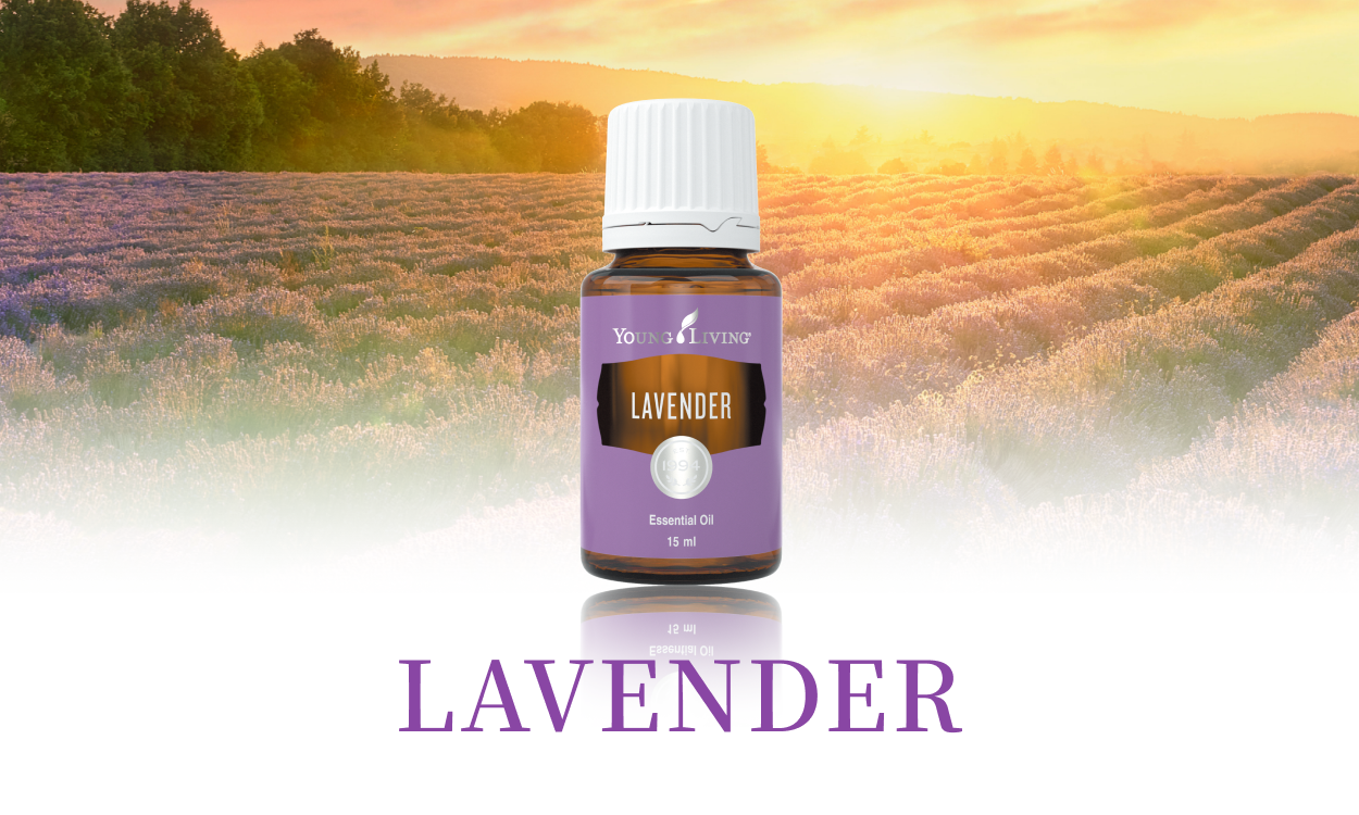 LAVENDER